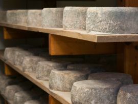 Conheça alguns dos queijos mais caros do mundo