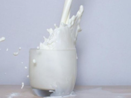 Como produzir leite com CCS abaixo de 200.000 céllulas/ml