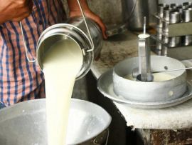 Os dados das fazendas de leite podem ter um grande valor