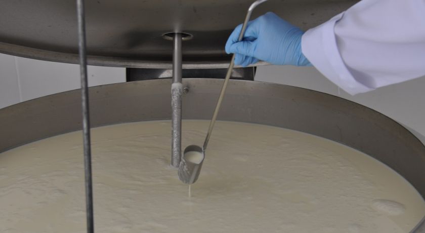 Prof. Gabriel Rossi: Qualidade do leite – por que devemos nos preocupar com isso?
