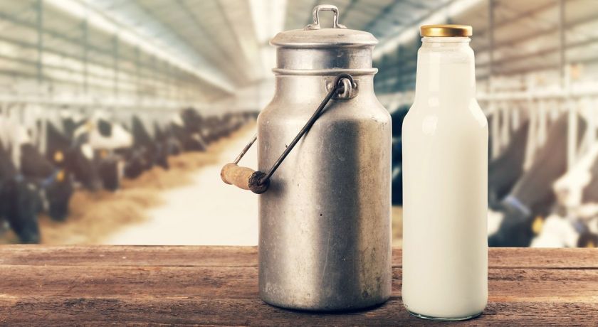Em 2021, exportações de lácteos aumentam 19%; importações recuam 21%