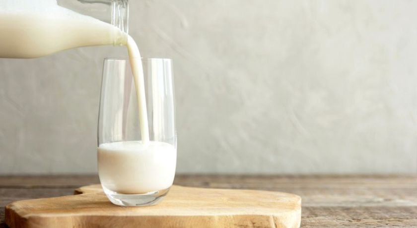 A história e a importância do leite e dos seus produtores