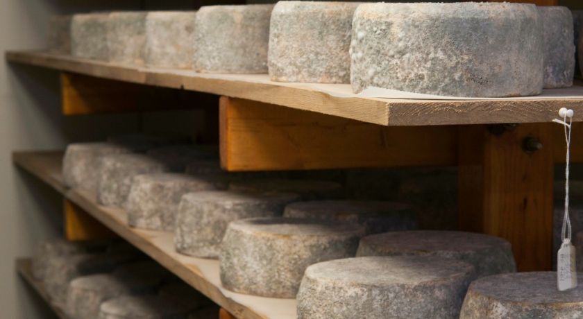Conheça alguns dos queijos mais caros do mundo