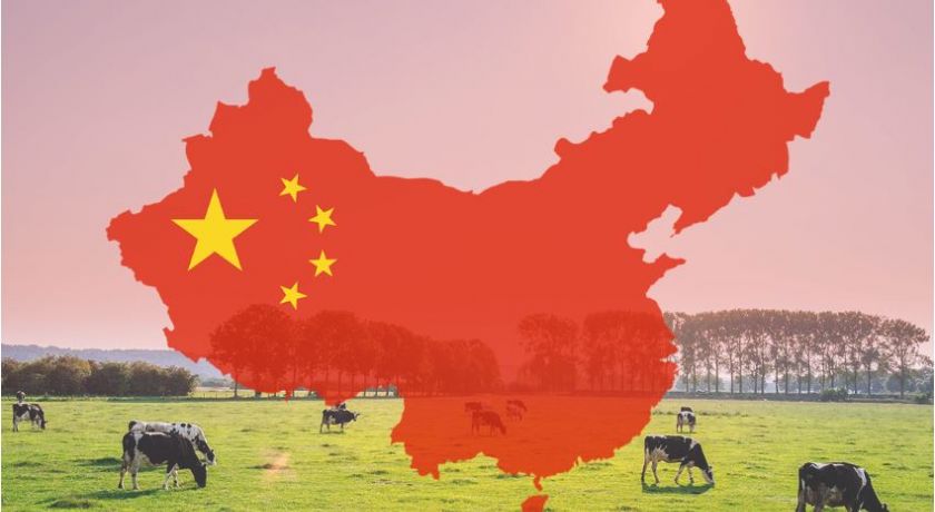 Enfraquecimento da economia da China significa problemas para o setor de laticínios