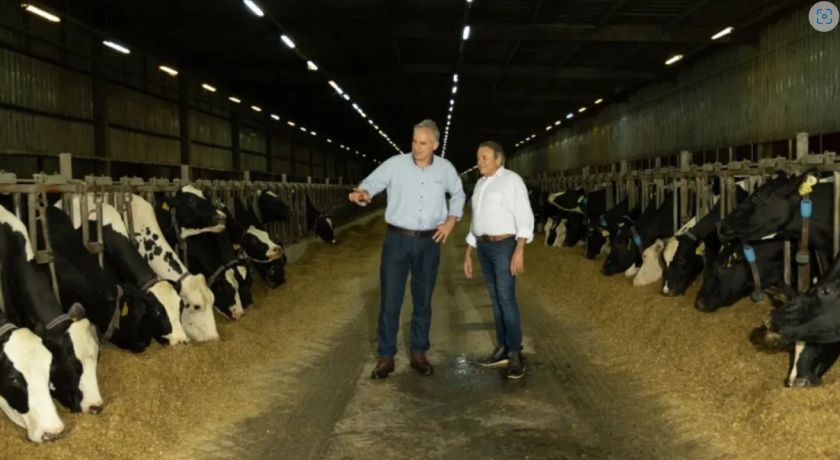 Conheça a história da Fazenda Colorado, a maior produtora de leite do país
