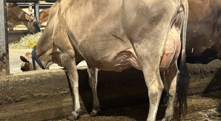 Eficiência Alimentar: Uma métrica básica para um sistema complexo