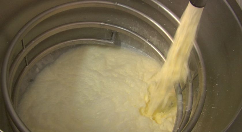 Explosão de oferta derruba os preços dos lácteos no Brasil e no mundo