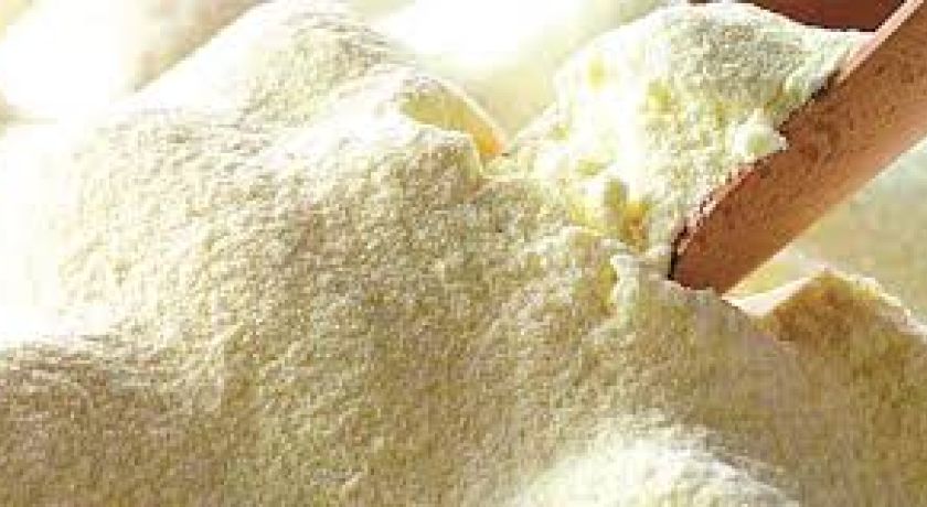 Como a indústria transforma 10 litros de leite em 1 kg de pó