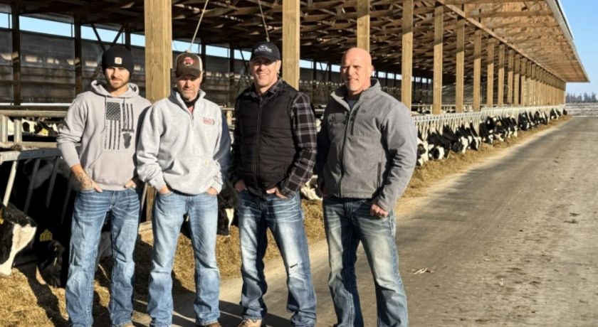 Como uma fazenda americana de vacas Holandesas produz 33.500 libras de leite com 700 vacas