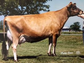 Rosel e Renaissance, uma dupla de muito peso na raça Jersey