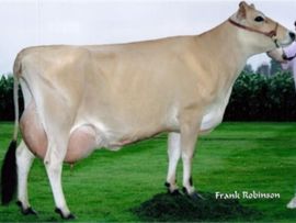 JUBILEE: recordista mundial de produção de leite na raça Jersey