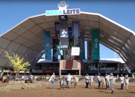 Megaleite 2024 - Sucesso e Inovação na Exposição de Gado Leiteiro