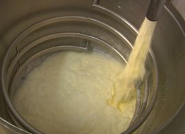 Conseleites indicam o valor referência do litro de leite