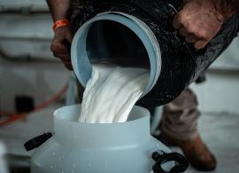 Gadolando registra queixas de criadores sobre nova queda no preço do leite pago ao produtor