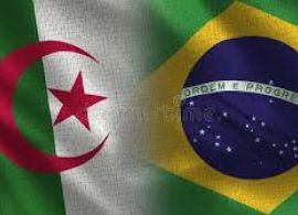 Argélia supera Brasil e muda o eixo dos lácteos