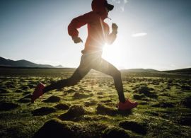 A Corrida da Manteiga: uma forma prática de se conectar com o setor leiteiro