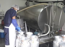 Preços do leite ao produtor estão estagnados, apesar da sazonalidade