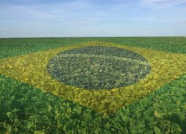PIB do Agronegócio cresceu 12% em 2025