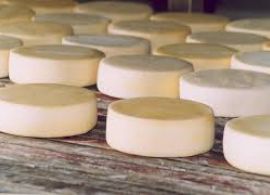 Produtores de queijo artesanal solicitam uma tarifa especial para envio dos seus produtos