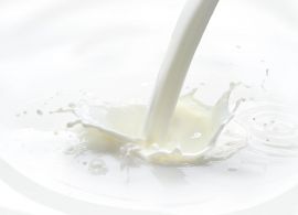 Mercado de lácteos do Paraná apresentou volatilidade em maio