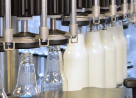 CMN aprova medidas para o setor leiteiro