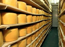 Ranking de exportadores de queijos da América Latina
