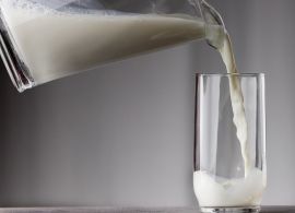 Qualidade do leite: Senar lança cartilha virtual gratuita para apoiar produtor