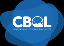 Inscrições para o Workshop online CBQL