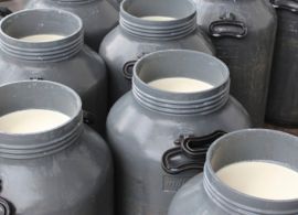 Relação de troca fica estável, apesar da queda nos preços do leite
