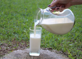 Preços do leite fecham 1º trimestre com alta de 18,9%