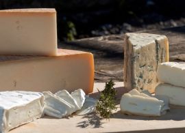 Setor lácteo rechaça isenção de queijo importado