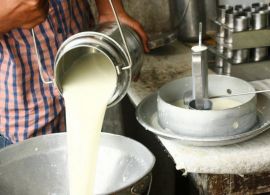 Preços do leite em alta começam a sufocar a demanda na América do Sul