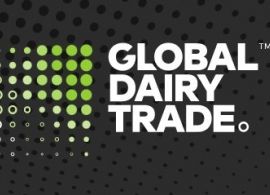GDT: preços internacionais dos lácteos seguem em queda