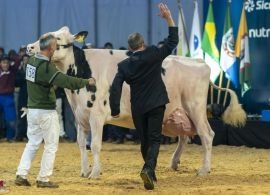 Ruivinha conquista o título de Bi-Campeã Suprema no Agroleite 2022