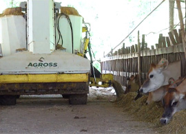 Aumento na produção de leite e nos rendimentos da propriedade | Linha Turbomix Agross do Brasil
