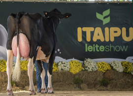 Itaipu Rural Show 2025 um novo espetáculo tecnológico do agronegócio