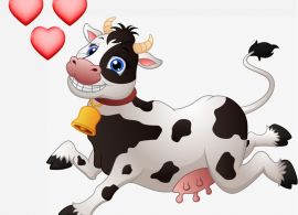 Tinder para vacas: aplicativo que ajuda os criadores de gado a encontrar o “par perfeito” dos seus animais